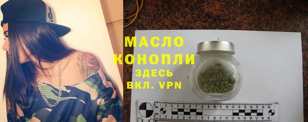 шишки Инта