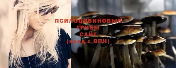 ГАЛЛЮЦИНОГЕННЫЕ ГРИБЫ Богородицк