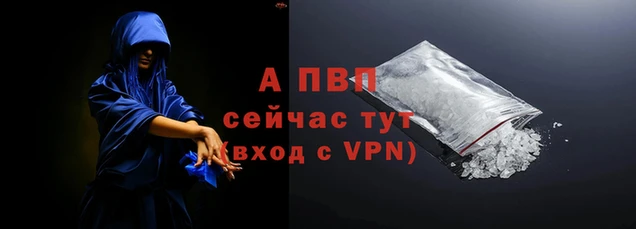 амф Богданович
