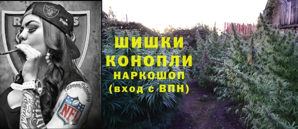 амф Богданович