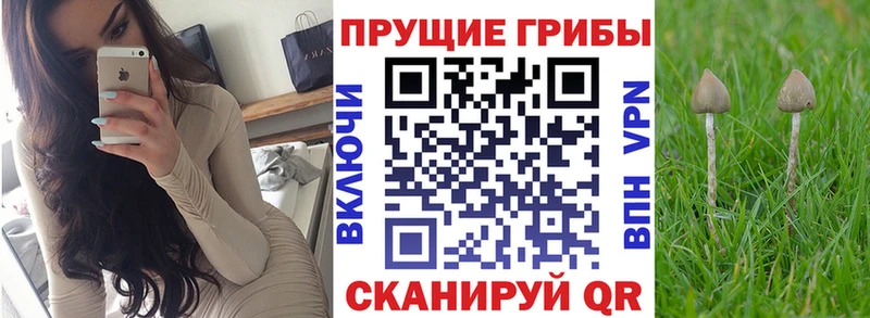 наркошоп  Вятские Поляны  Псилоцибиновые грибы MAGIC MUSHROOMS 